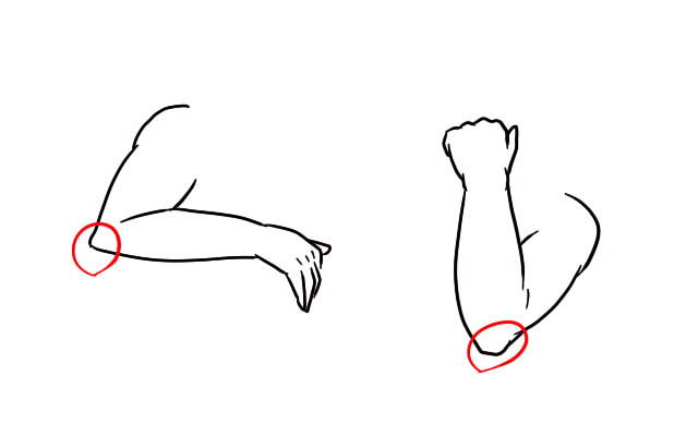 イラストの解剖学 腕の描き方 トラバブログ